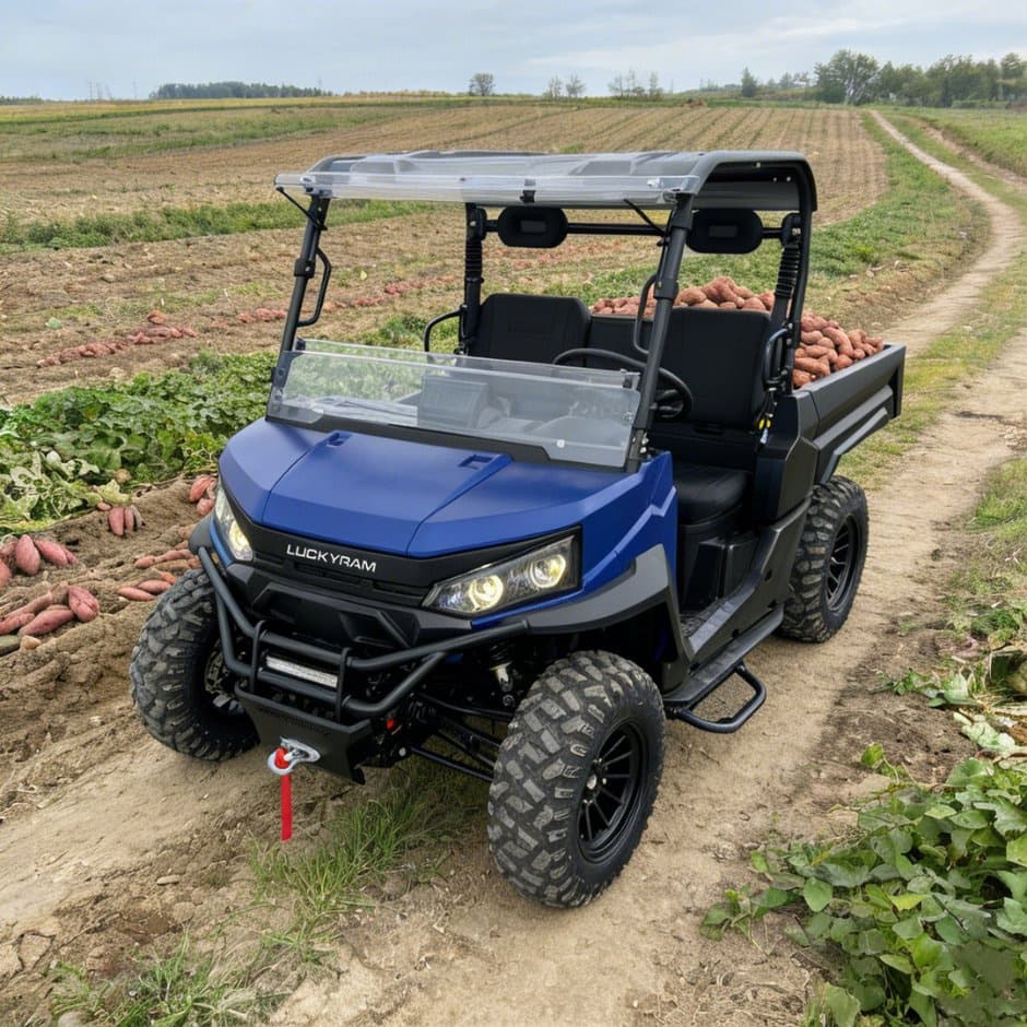 73.6V 4WD UTV 10kw AC Motor EPS Steering ຫມໍ້ໄຟ 150ah